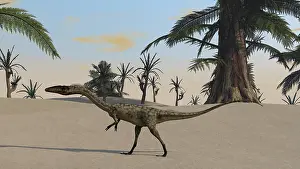 Coelophysis: Coelophysis in a desert landscape