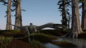 Coelophysis: Coelophysis dinosaur running