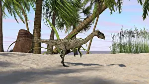 Coelophysis: Coelophysis in a prehistoric environment