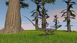 Tempskya: Coelophysis running through a grassy field