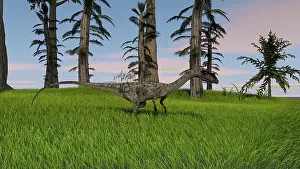 Coelophysis: Coelophysis running through a grassy field