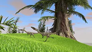 Tempskya: Coelophysis running across an open field