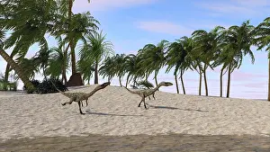 Coelophysis: Two Coelophysis running towards shore