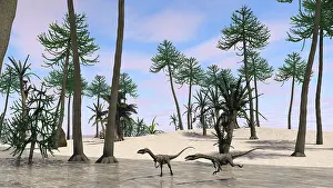 Coelophysis: Two Coelophysis in shallow water