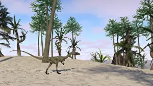 Coelophysis: Coelophysis in a tropical environment