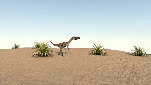 Clear: Coelophysis walking across a barren landscape