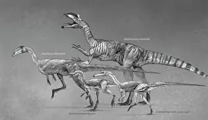 Slender: Coelophysoid diversity from the Late Triassic to Early ?
