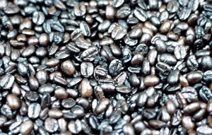 Roasted: Coffea arabica, coffee