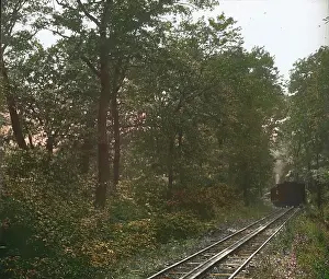 Kahlenberg: The cog railway at the Kahlenberg