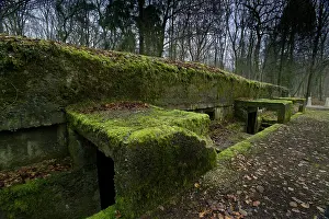 Vital: Col Driant's command post in the Bois des Caures