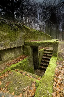 Vital: Col Driant's command post - Bois des Caures - Verdun