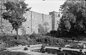 Sightseeing: Colchester Castle and Lily Pond