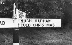 Signposts: COLD CHRISTMAS SIGN