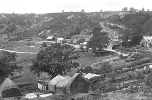 Coldharbour: Coldharbour, 1906