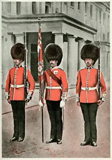 Bayonet: Coldstream guards