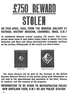 Theft: Colenso Diamond Wanted Poster