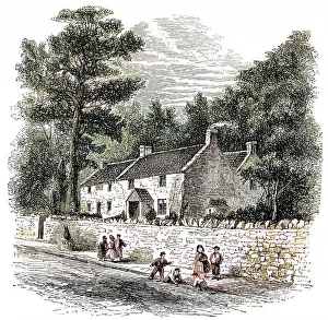 Clevedon: COLERIDGE CLEVEDON COTT
