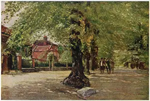 Coleridge: COLERIDGE GROVE HIGHGATE