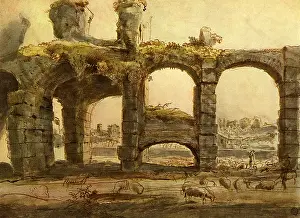 Coliseum: Coliseum View