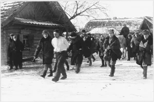 Collaborators: COLLABORATORS ROUNDED UP