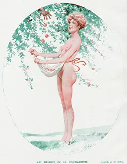 Pinny: Collecting apples