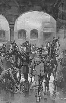Newsagents: Collecting and branding horses, WW1