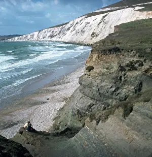 Collecting fossils