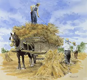 Baling: Collecting hay bales