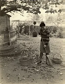 Sweeps: Collecting horse chestnuts