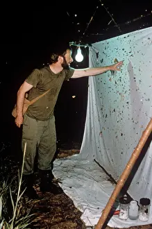 Brunei: Collecting moths at light