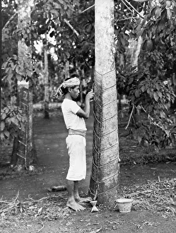 Cuts: Collecting rubber on Malaya, 1928