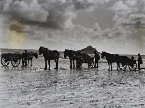 Collecting seaweed on beach