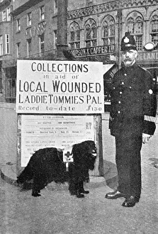 Paul Keevil: COLLECTING FOR WOUNDED
