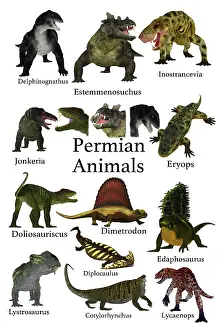 Variation: A collection of animals, prehistoric animals that