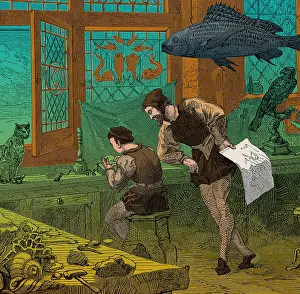 Zoologist: Collection of Conrad Gessner, 16th Century