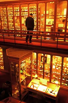 Met001: Collection of human skulls and bones on display