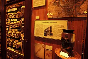 Mutter: Collection of human skulls on display at the