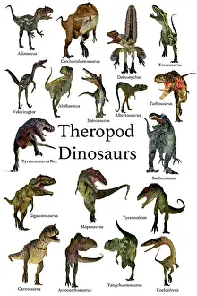 Abundance: A collection set of theropod carnivorous dinosaurs