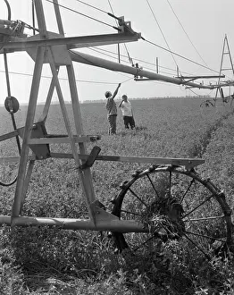 Potyrnike: Collective farm named after Lenin