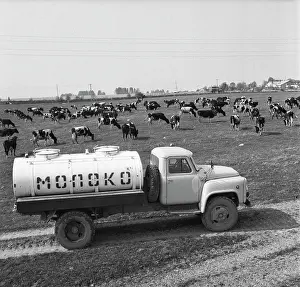 Sending: Collective farm pasture