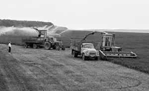 Sizov: Collective Farm in Shebekinsky District