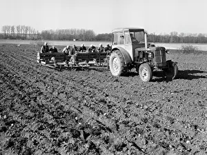 Nosek: Collective farm workers plant potatoes