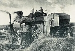 Molot: Collective farming in the Soviet Union