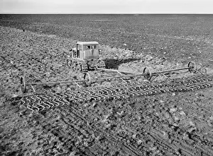 Loosening: Collective grain farm Ozerny