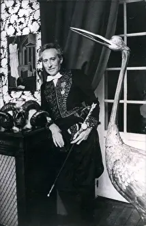 Cocteau: Colleges - Education - Educators - Professors