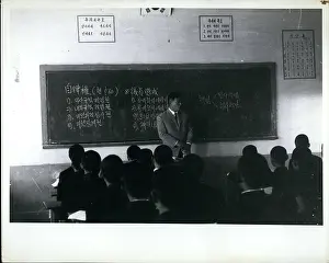 Consisted: Colleges - Education - Educators - Professors