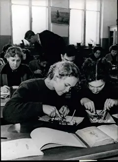 Dissection: Colleges - Education - Educators - Professors