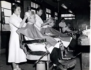 Barbers: Colleges - Education - Educators - Professors