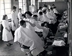 Barbers: Colleges - Education - Educators - Professors