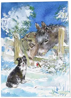 Matthes: Collie Dog with robin and donkeys in the snow